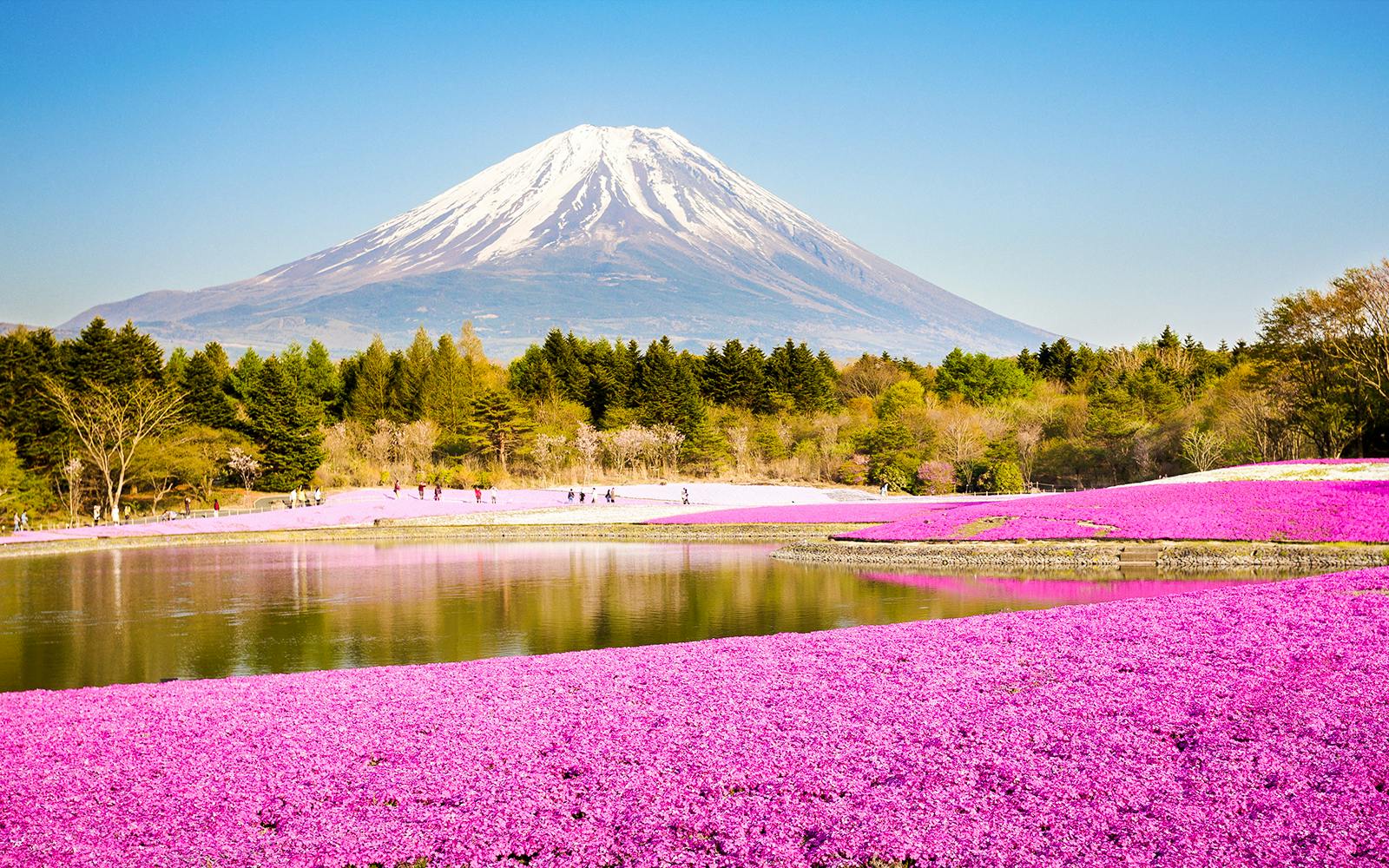 Mount Fuji Private Tour: Explore Top Spots at Your Pace (10 Hours) Image 3