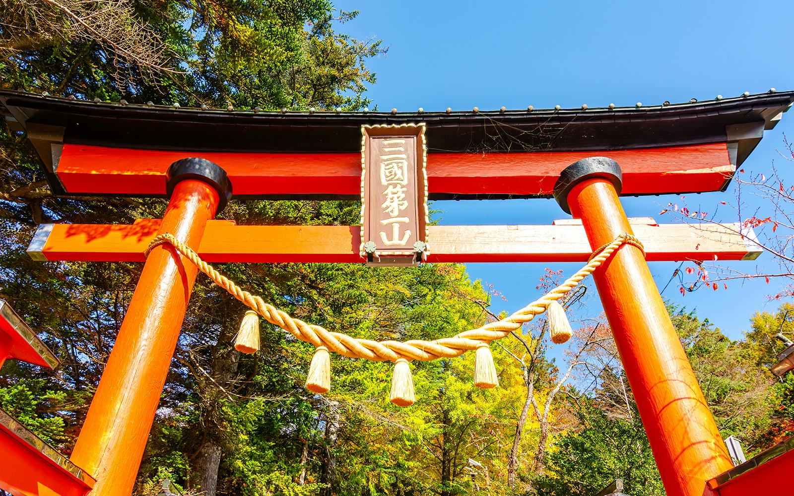 Mount Fuji Private Tour: Explore Top Spots at Your Pace (10 Hours) Image 4