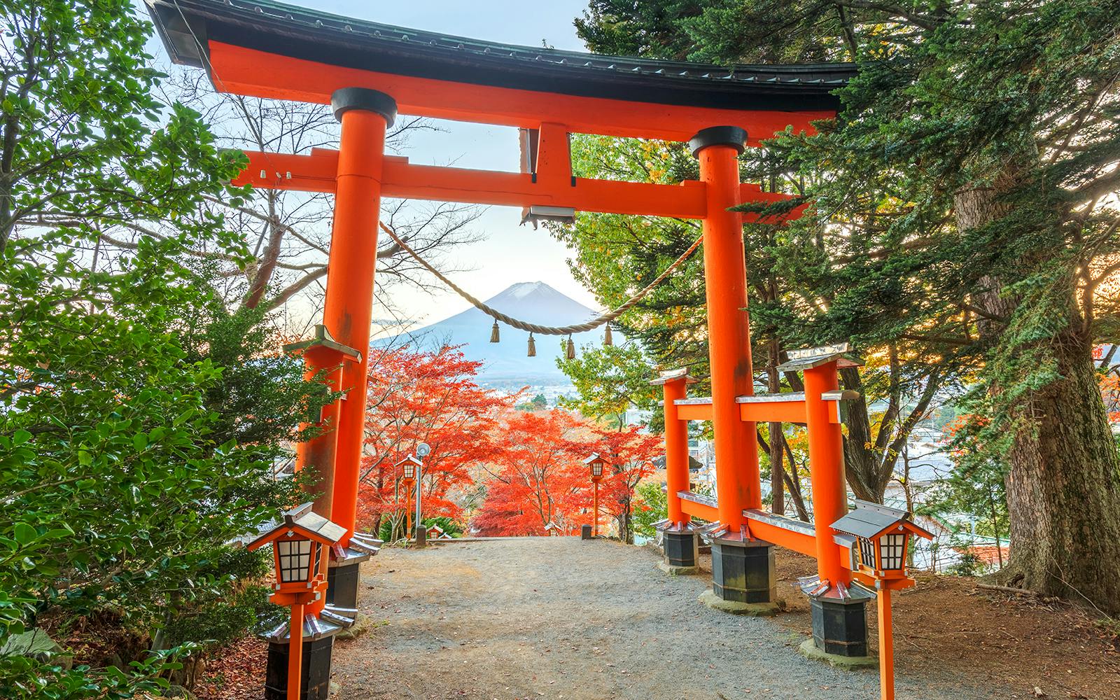 Mount Fuji Private Tour: Explore Top Spots at Your Pace (10 Hours) Image 9
