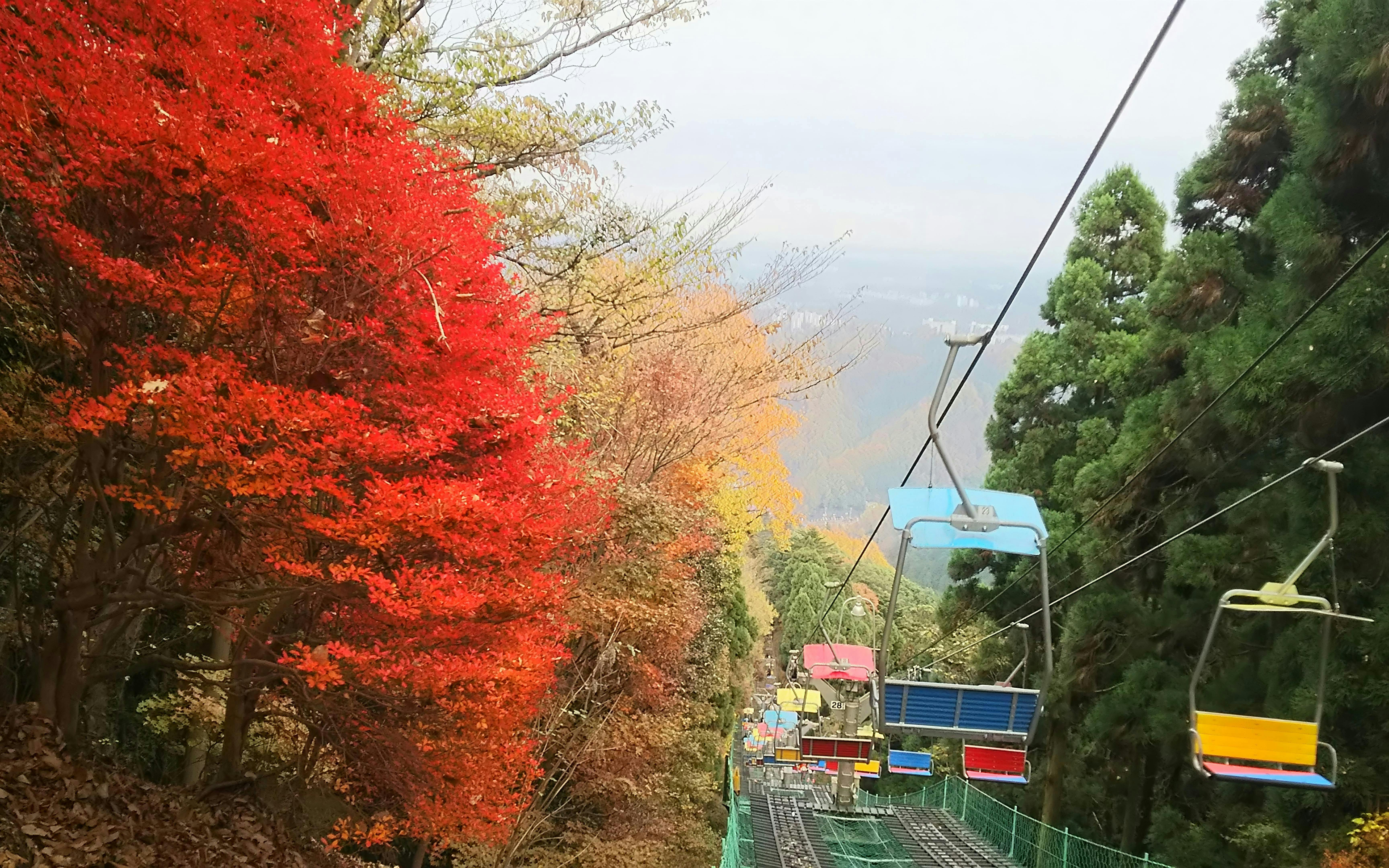 Mountain Takao Keio Line One-Day Ticket + Mt. Takao Cable Car Ticket Image 5