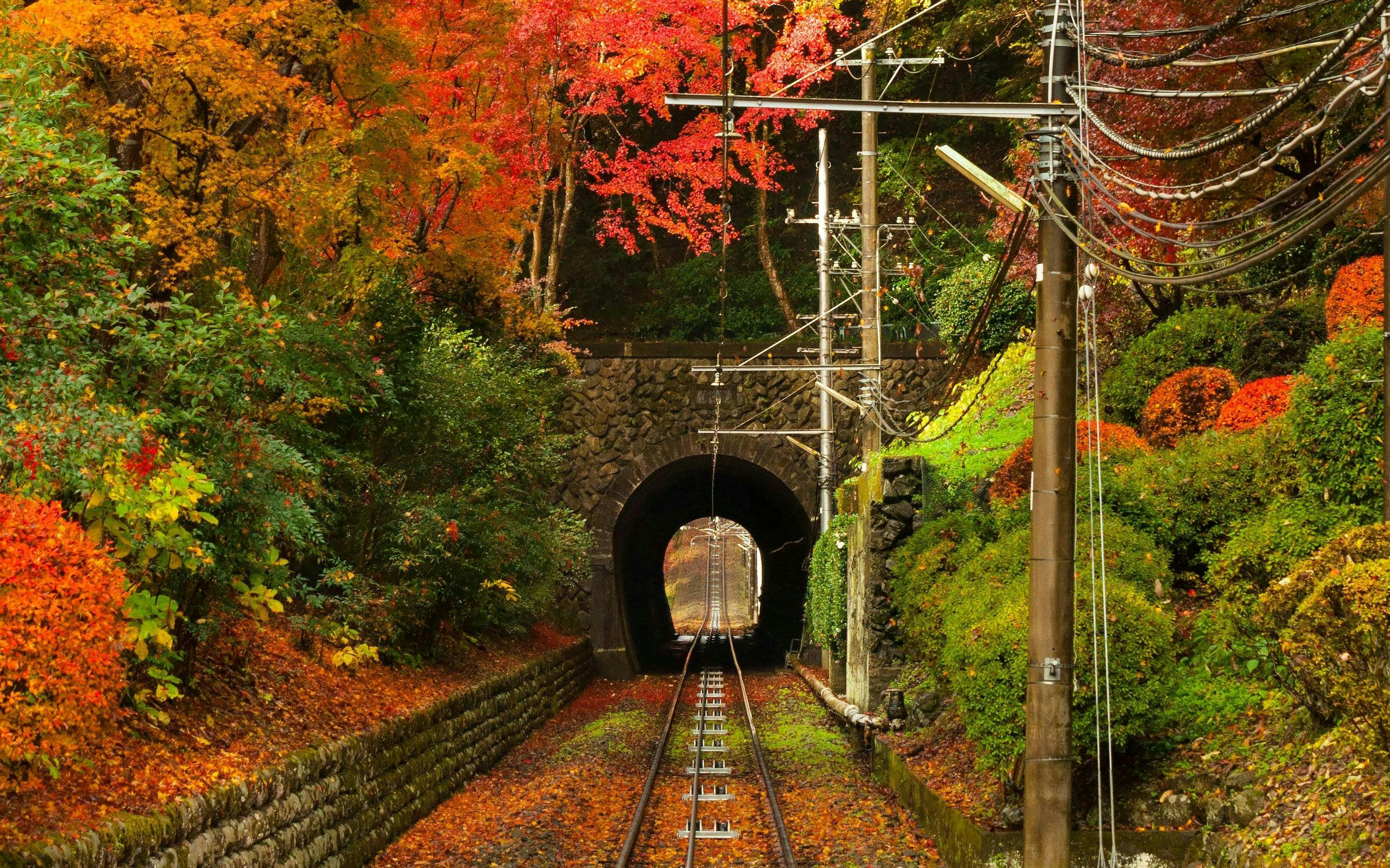 Mountain Takao Keio Line One-Day Ticket + Mt. Takao Cable Car Ticket Image 10