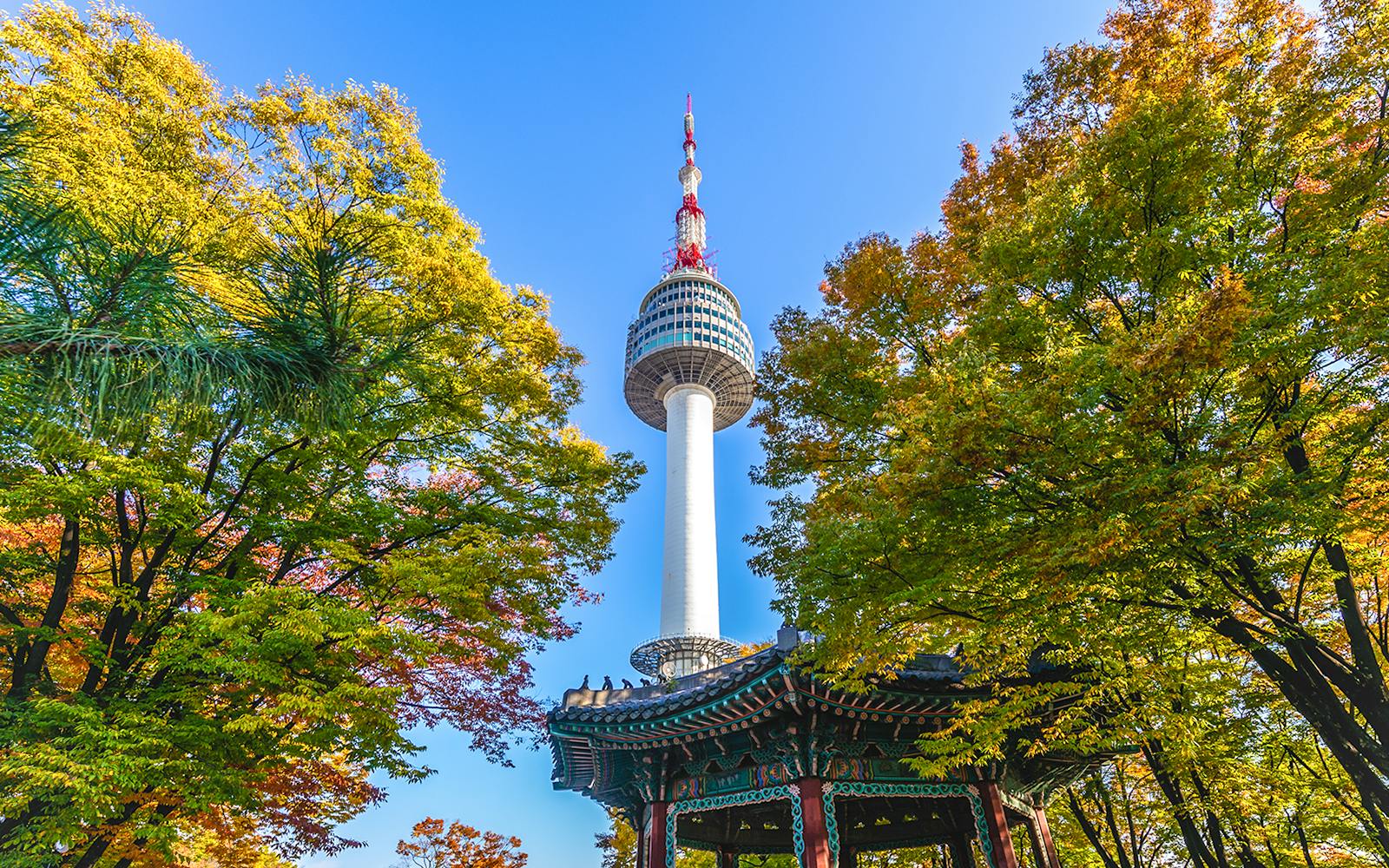 N Seoul Tower Observatory with Namsan Cable Car Round-trip Tickets (Ticket Pick-up before 6 PM: Myeng-dong Rednow) Image 1