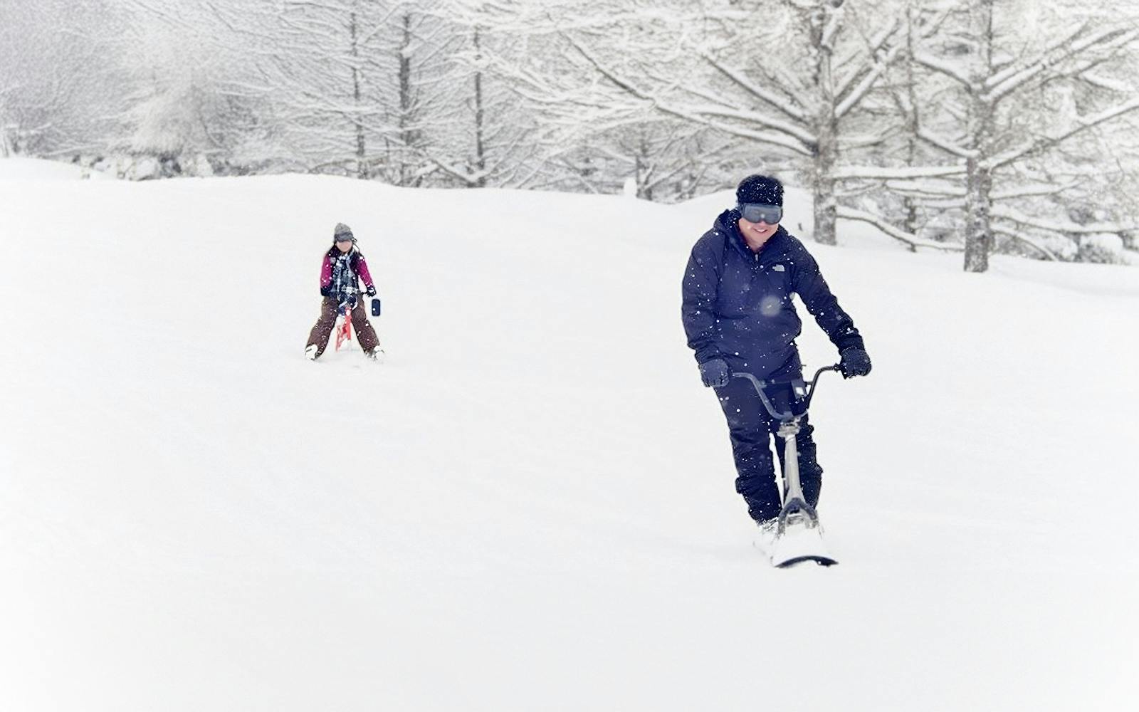 Nagano Snow Monkey Park & Shiga Kogen Maruike Park Day Tour Image 3