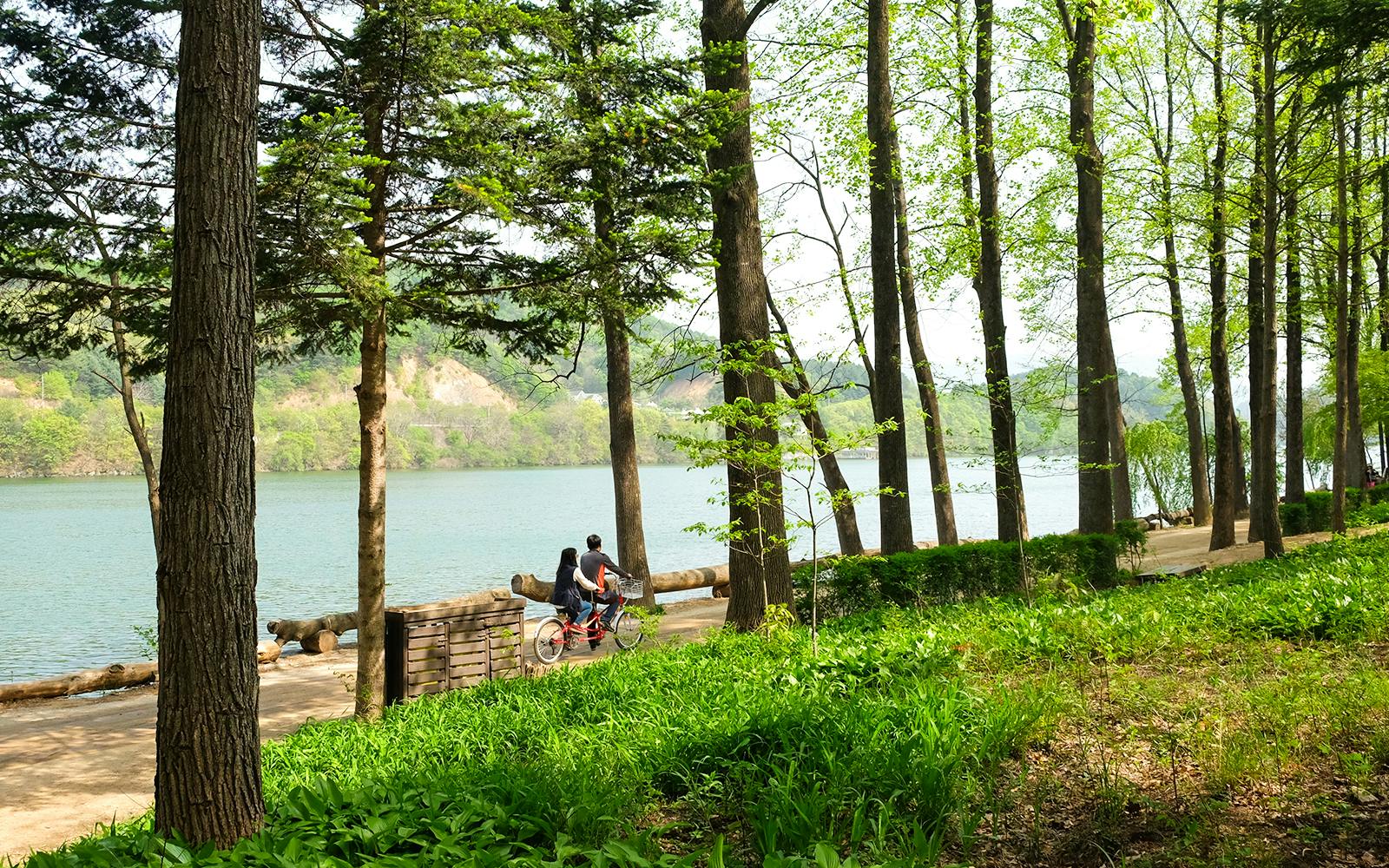 Nami Island & Mount Seorak Day Tour  Image 4