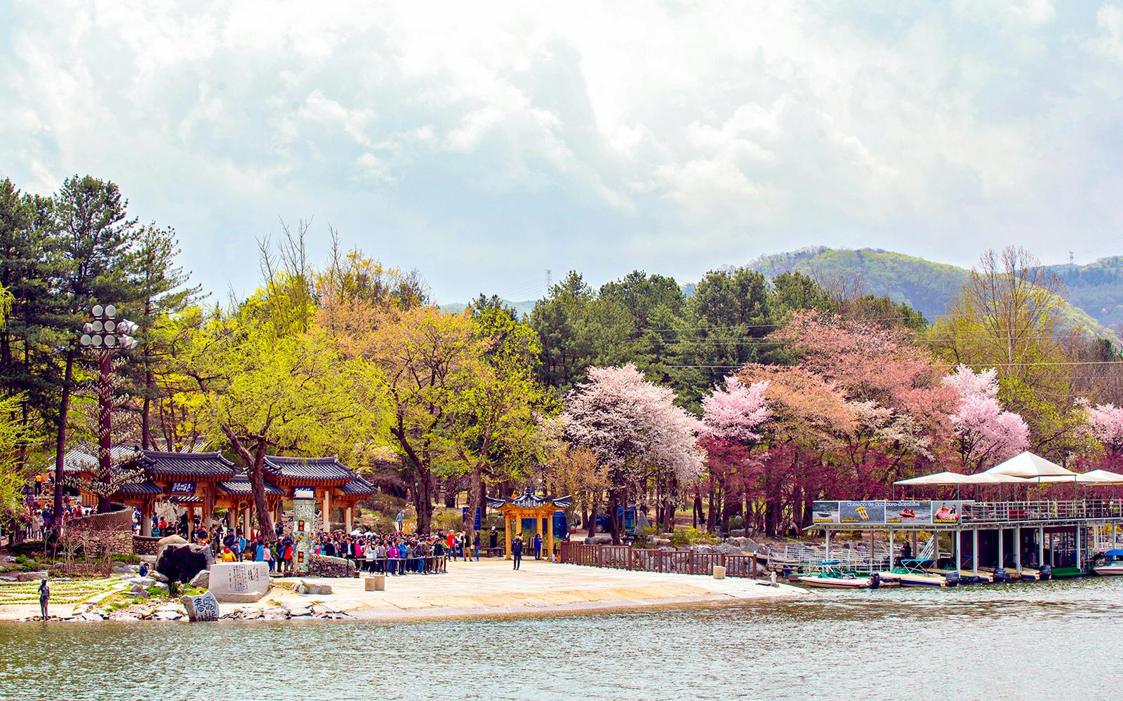 Nami Island Day Tour with Gangchon Rail Bike  Image 3