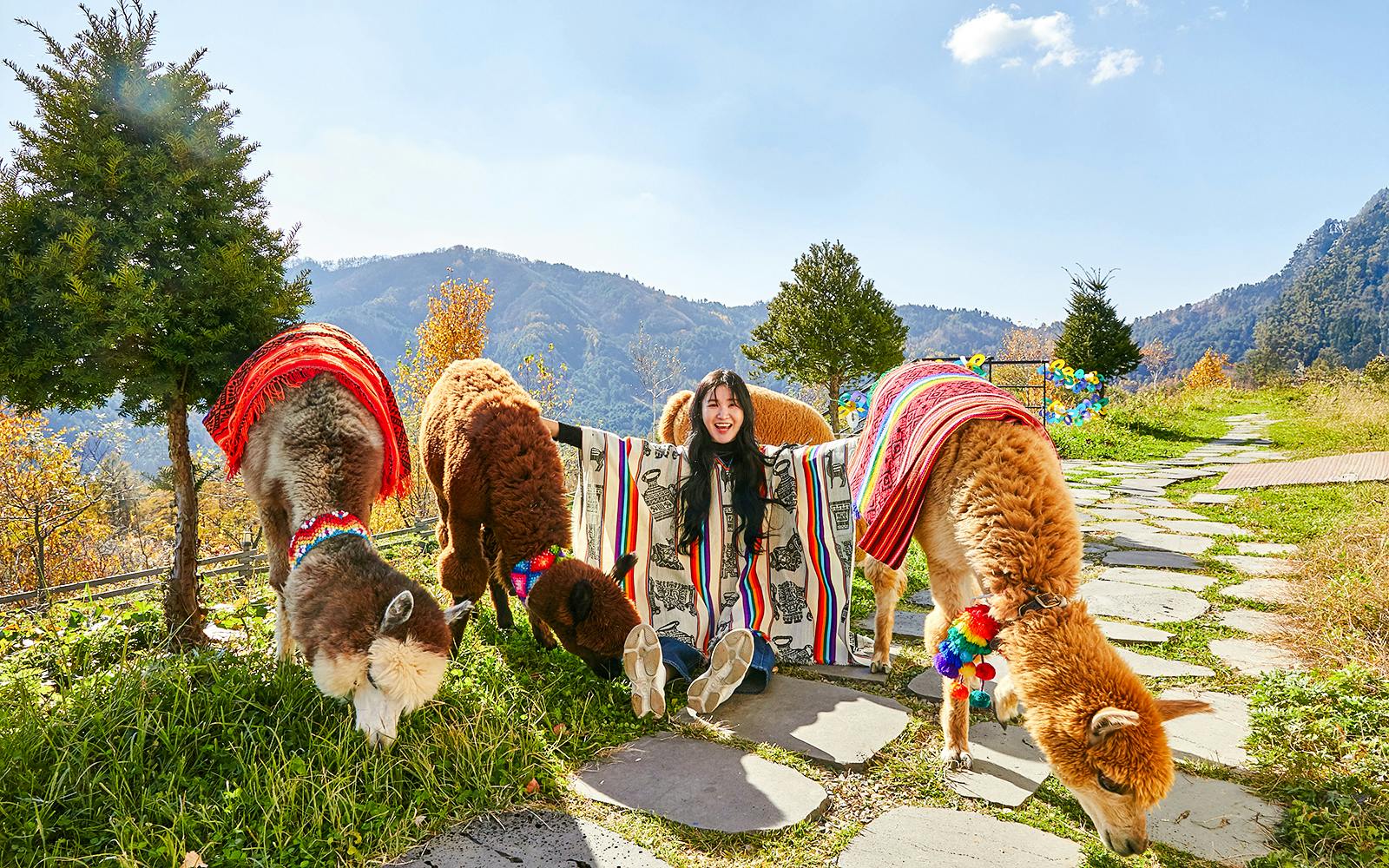 Nami Island Wildlife Exploration Day Tour with Alpaca World Image 1