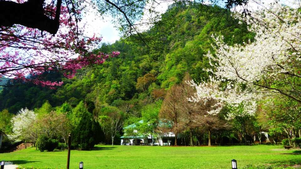 Nantou Aowanda National Forest Recreation Area Tickets