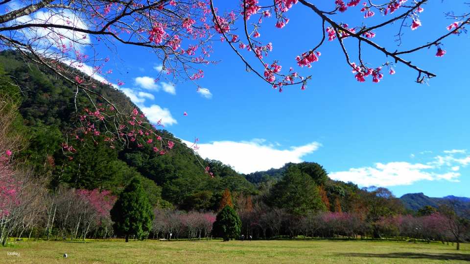 Nantou Aowanda National Forest Recreation Area Tickets