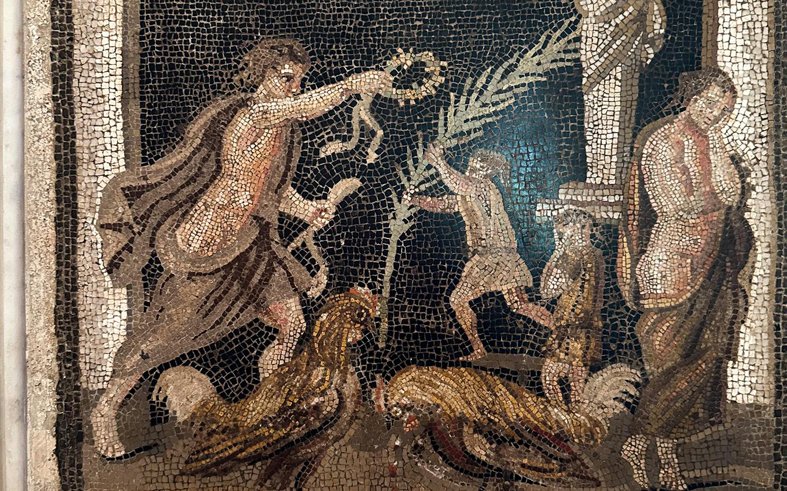 Naples Archaeological Museum Tickets Image 4