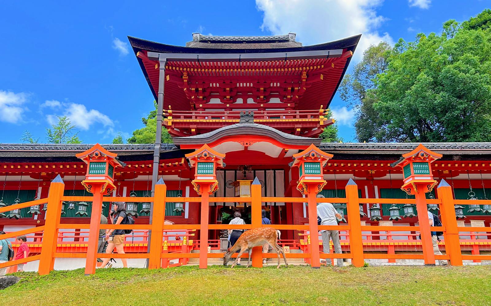 Nara and Kyoto One-Day Bus Tour Image 1