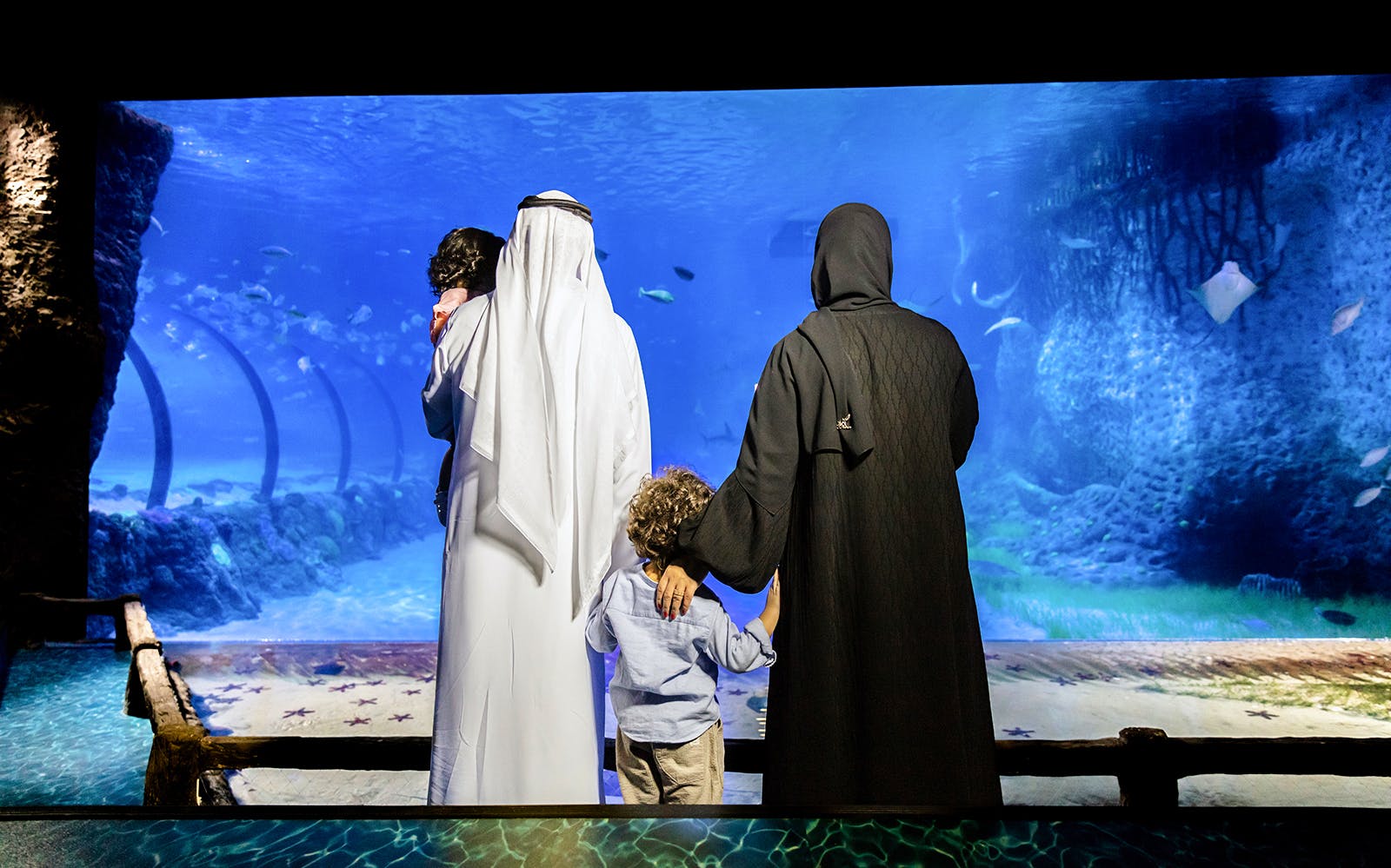 National Aquarium Abu Dhabi Tickets Image 5