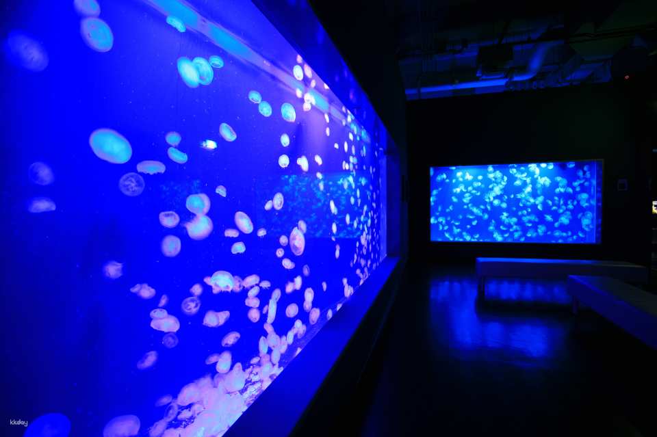 Noboribetsu Marine Park Nixe Admission Ticket in Hokkaido | Japan