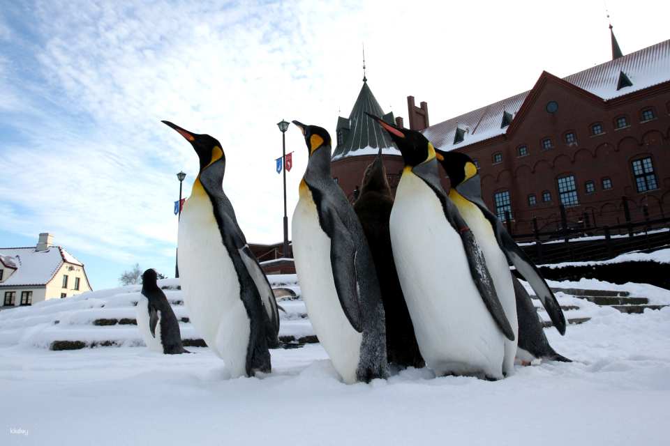 Noboribetsu Marine Park Nixe Admission Ticket in Hokkaido | Japan