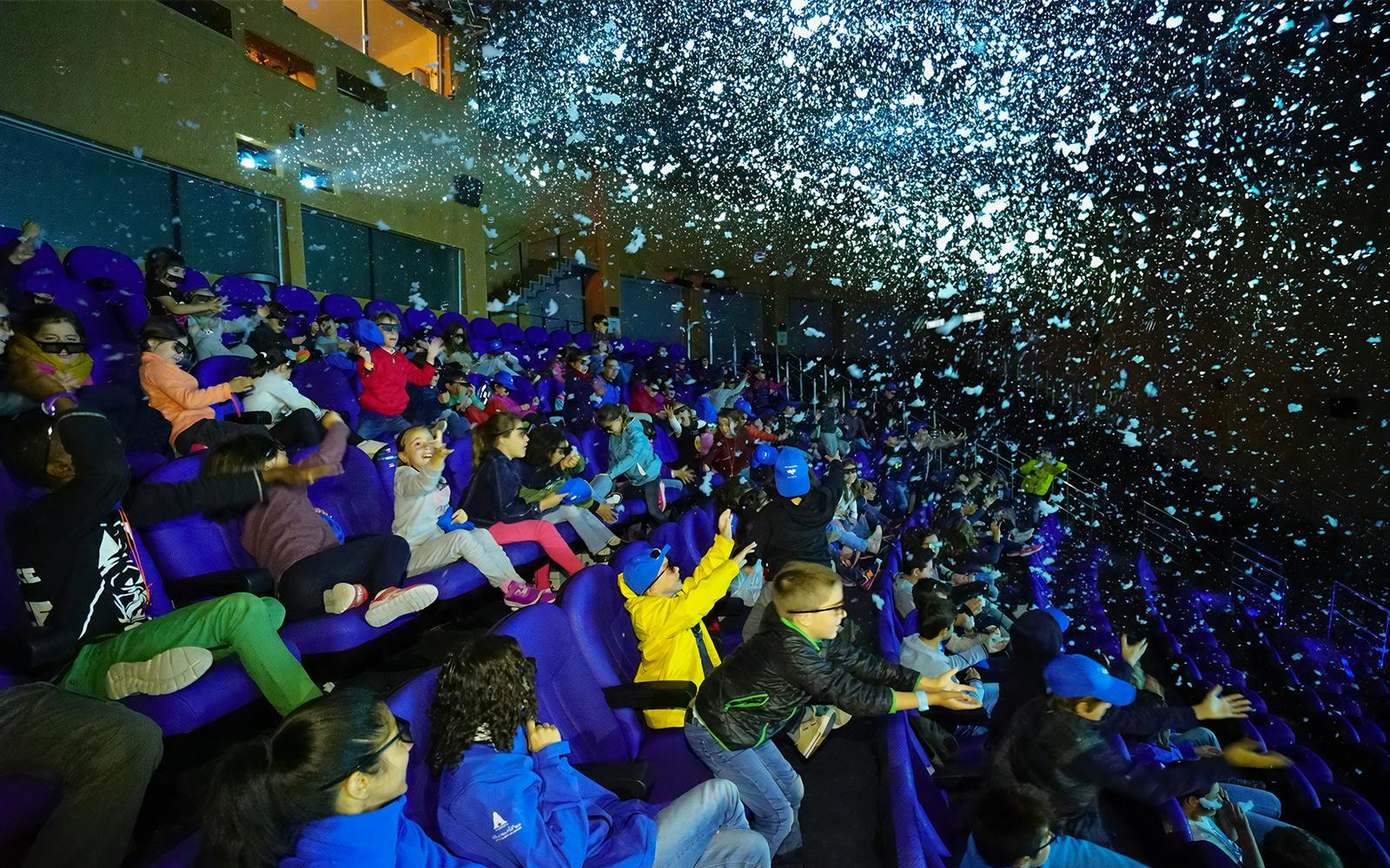 Oceanogràfic Tickets  Image 5