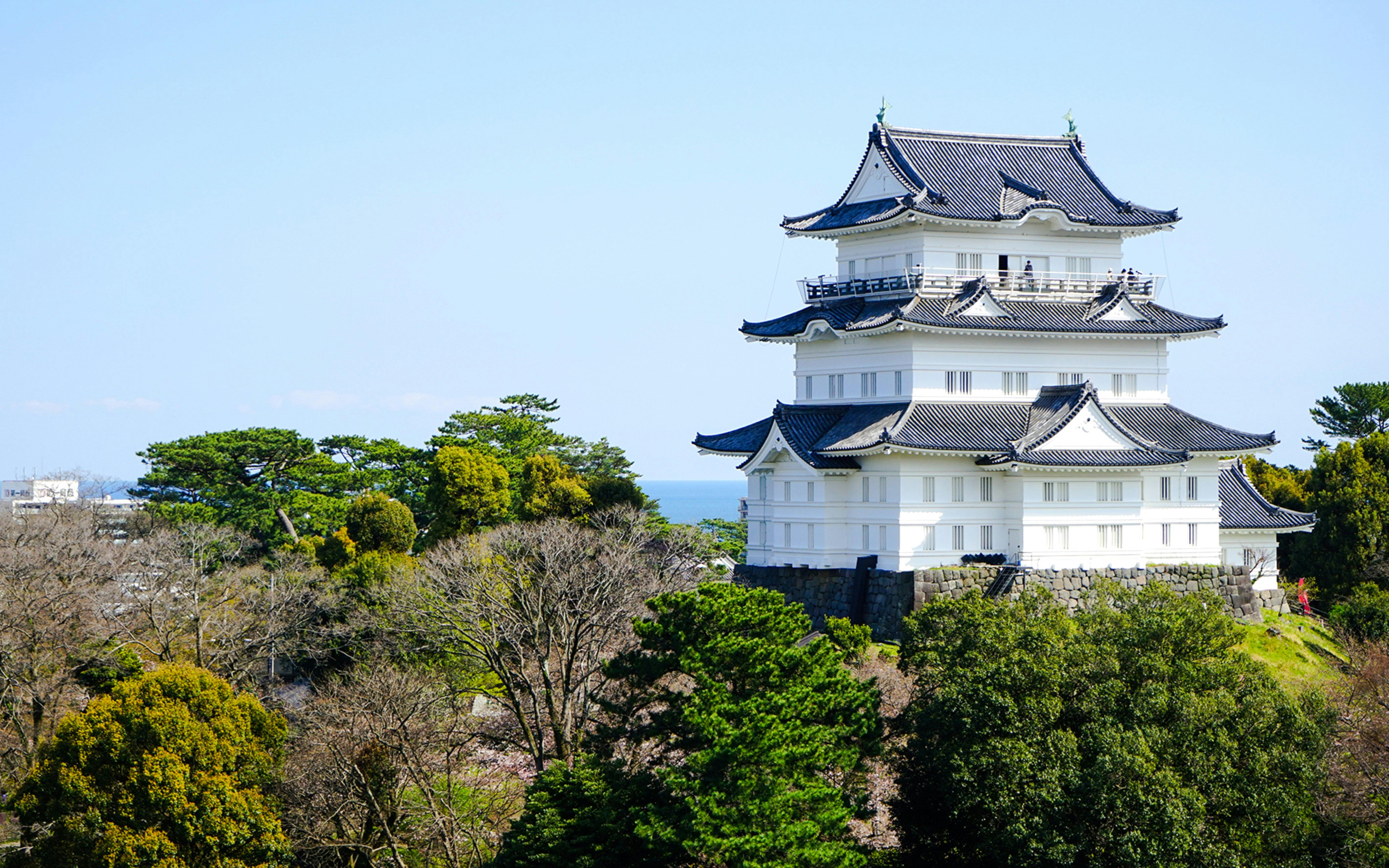 Odawara Castle Entry Tickets Image 7