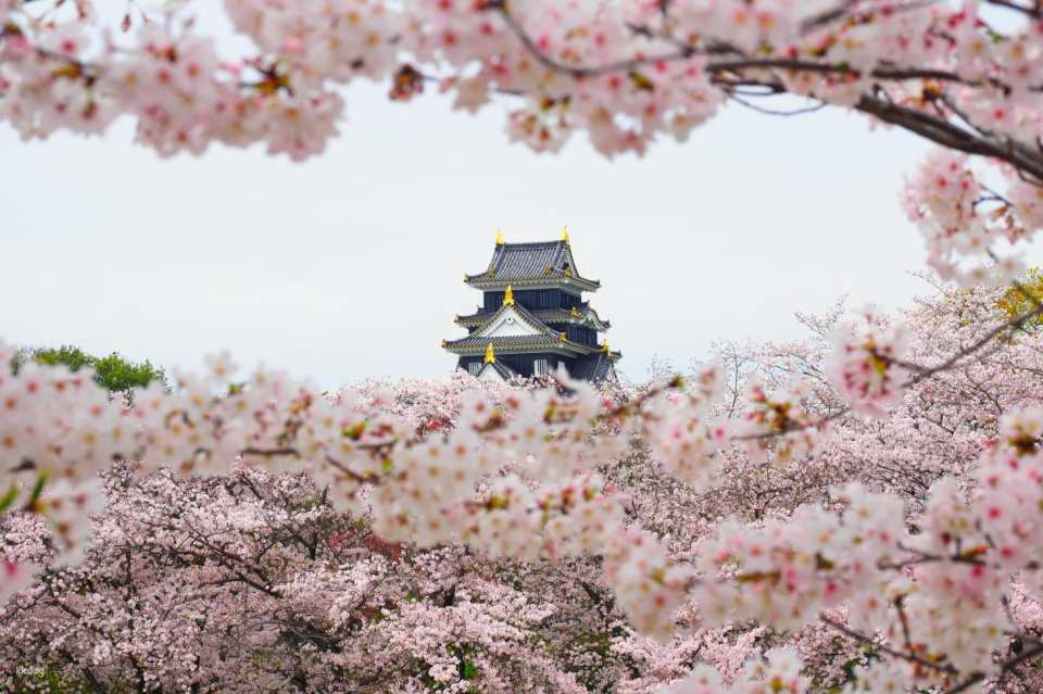 Okayama, Japan | Okayama Castle Keep Electronic Ticket
