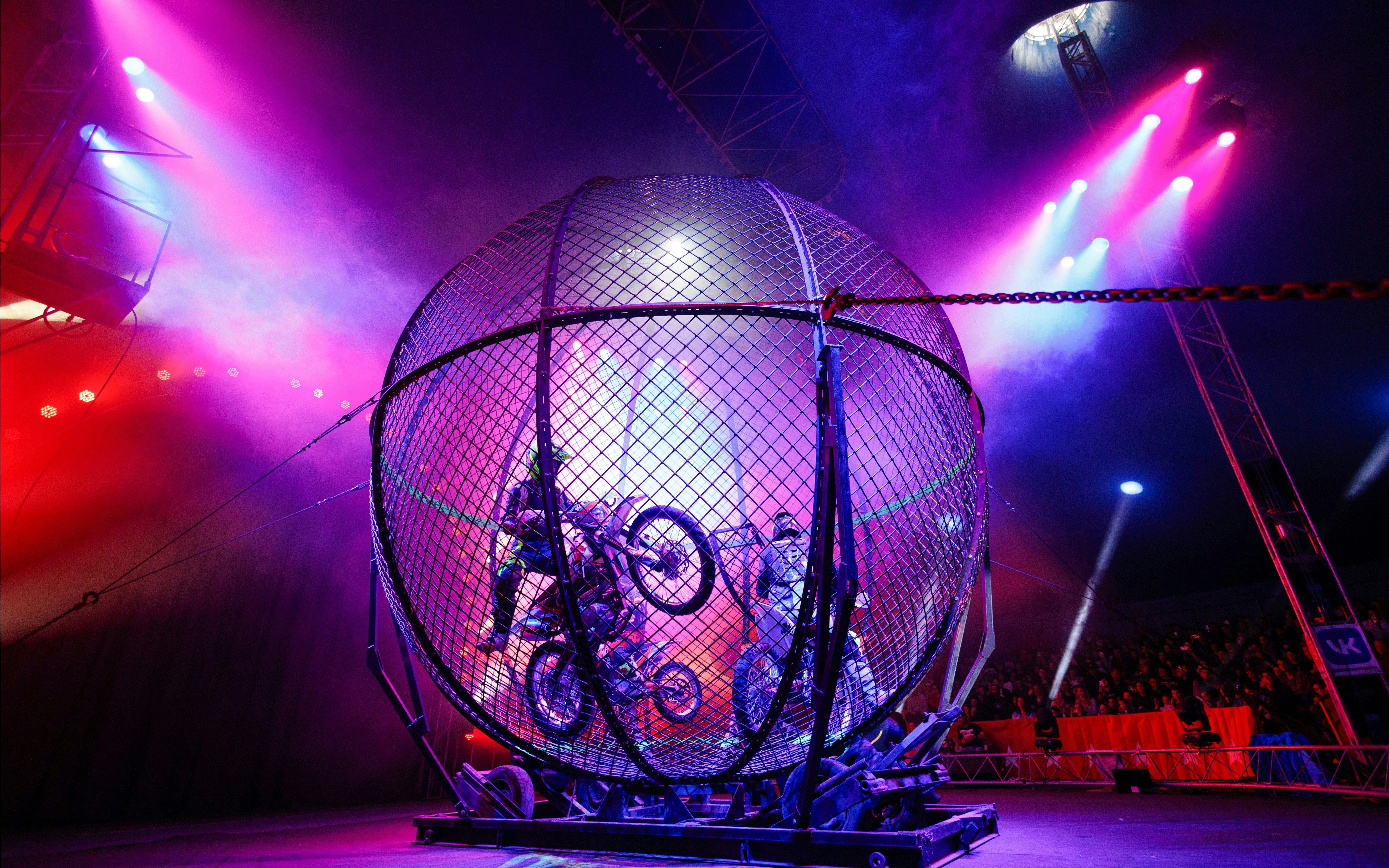 Phuket Circus Tickets Image 5