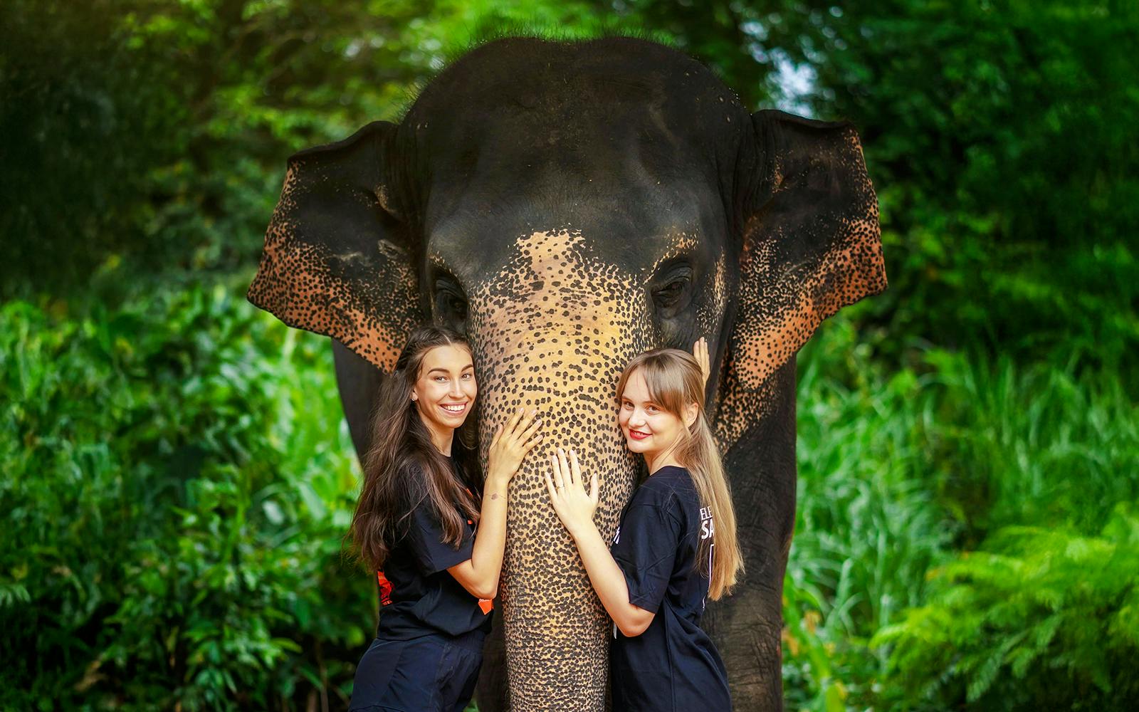 Phuket Elephant Jungle Sanctuary: Feed, Shower & Mud Spa Guided Tours with Optional Transfers Image 2