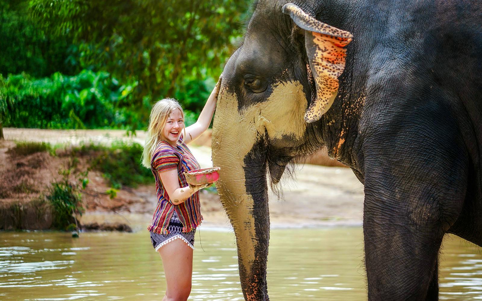 Phuket Elephant Jungle Sanctuary: Feed, Shower & Mud Spa Guided Tours with Optional Transfers Image 5