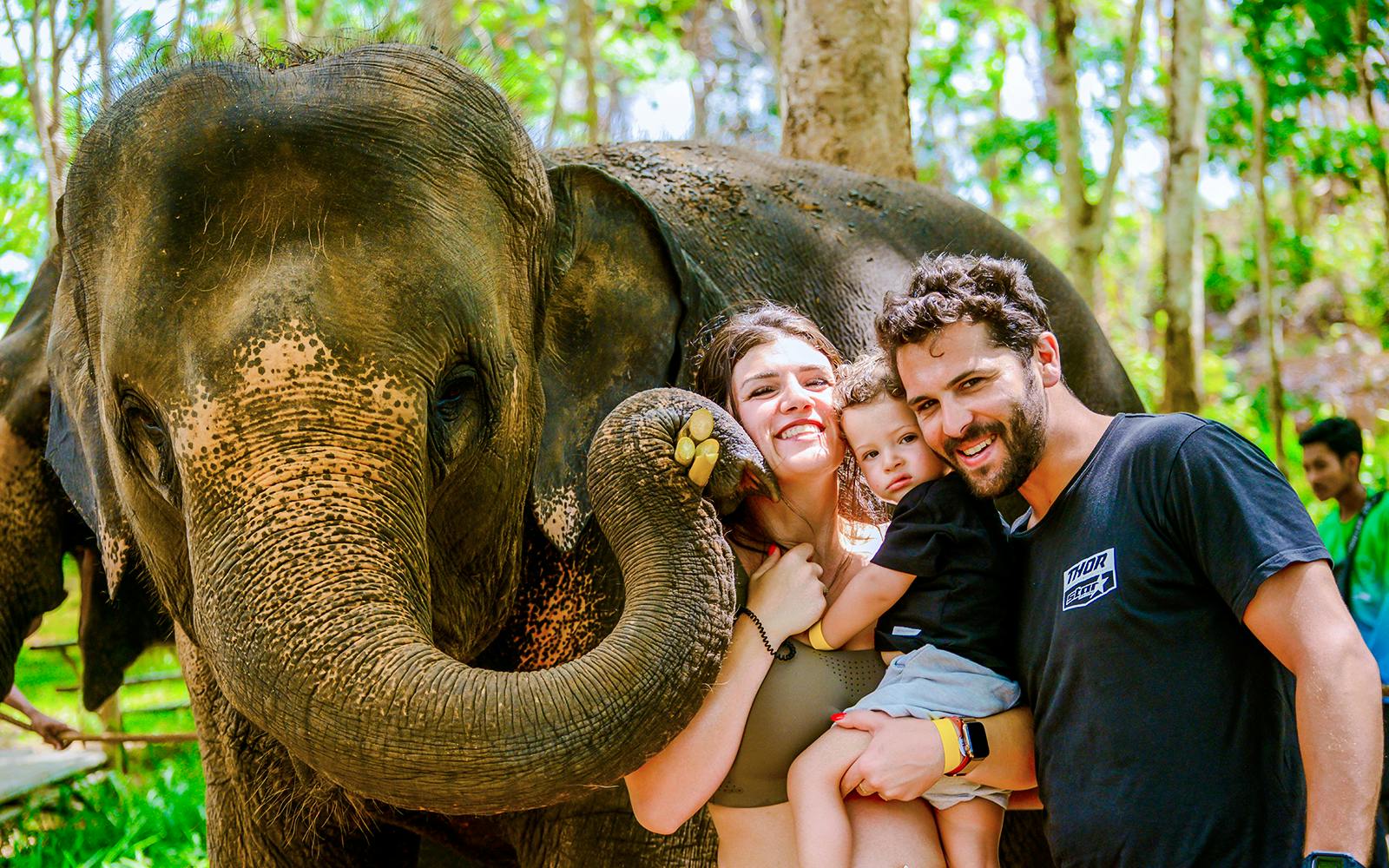 Phuket Lily Elephant Camp by the Beach: Feed & Shower Guided Tours with Optional Transfers Image 1