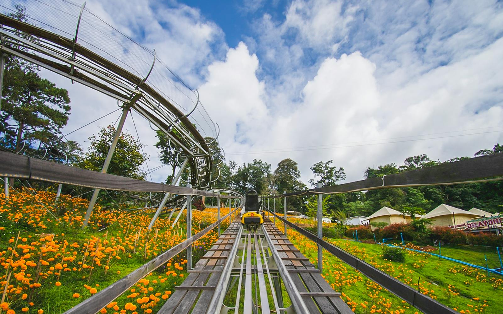 Pongyang Jungle Coaster: Ziplining + Jungle Coaster Packages (with Transfers) Image 4
