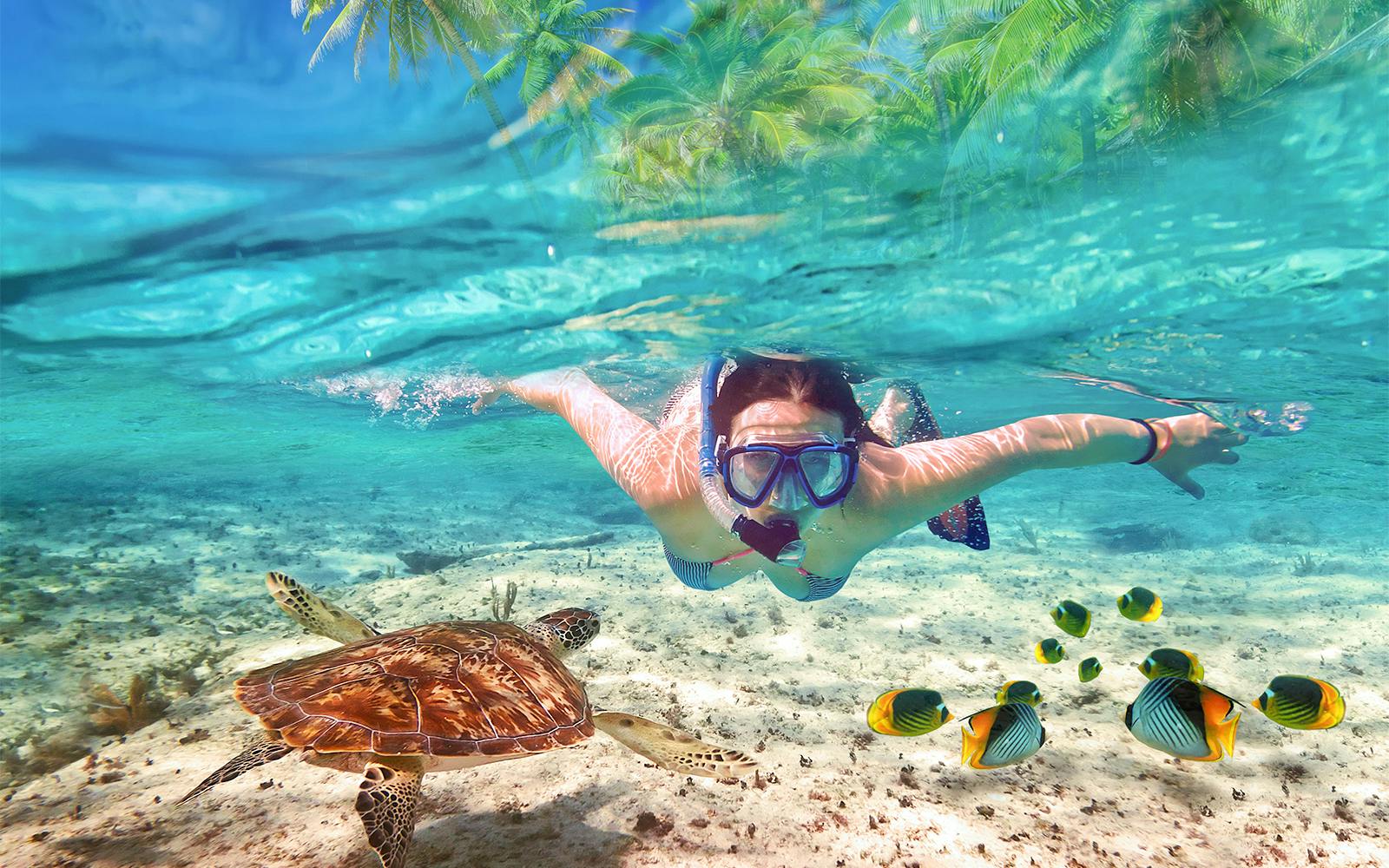 Private Bali Snorkeling Blue Lagoon & Tanjung Jepun Image 1