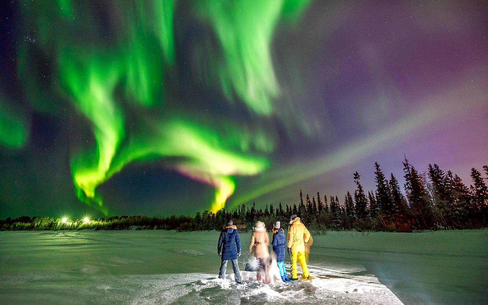 Reykjavik: Northern Lights Small Group Chase Tours Image 2