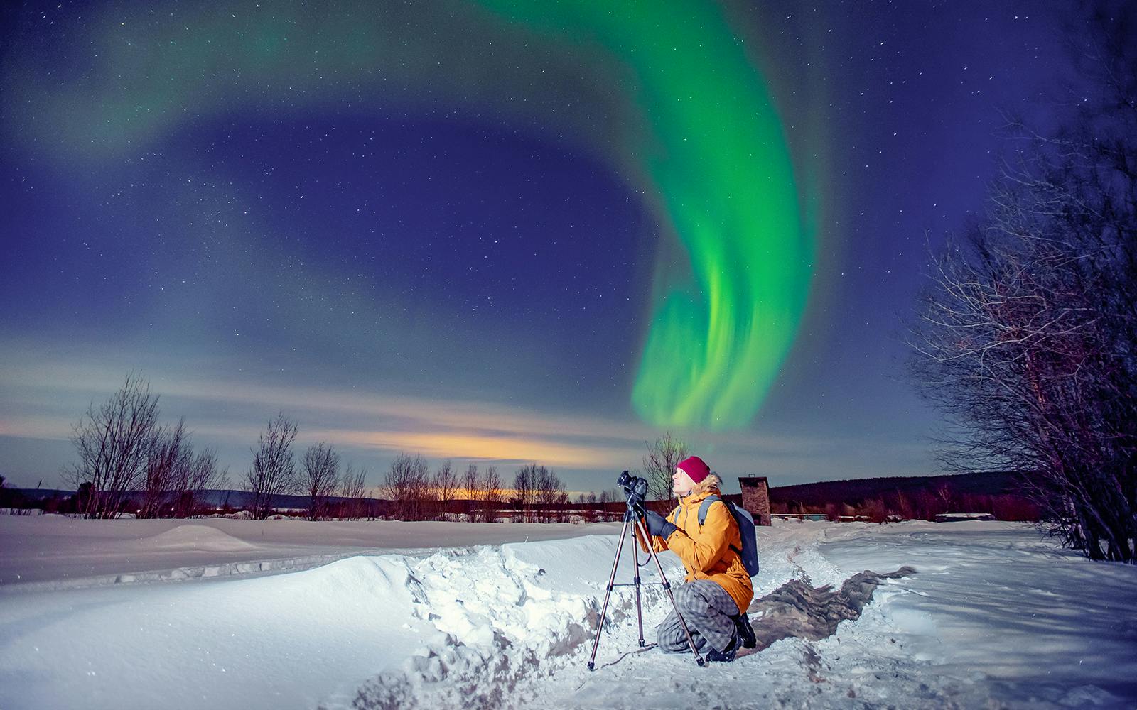 Reykjavik: Northern Lights Small Group Chase Tours Image 5