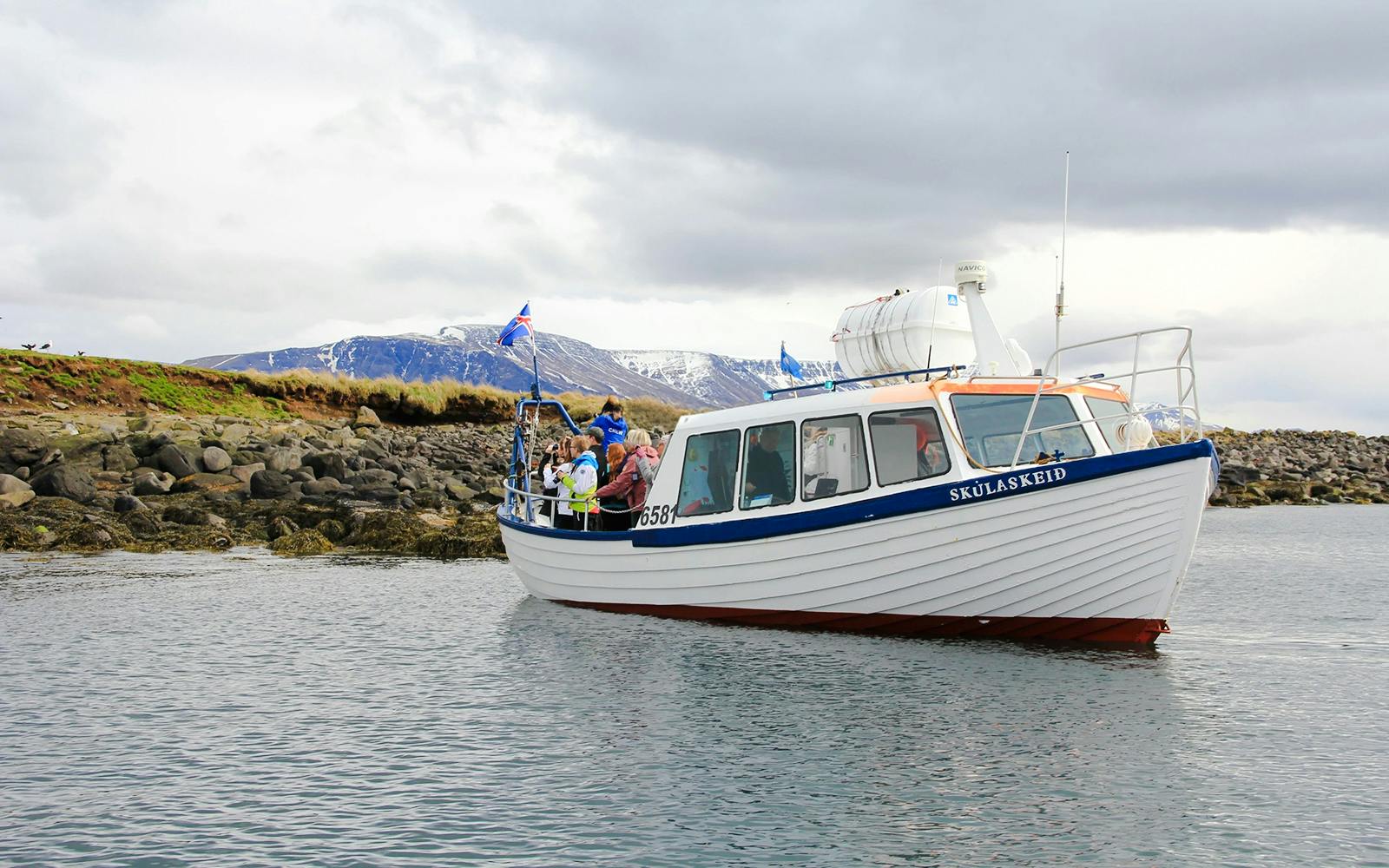 Reykjavik: Whales & Puffins Express Cruise Combo Tour Image 1