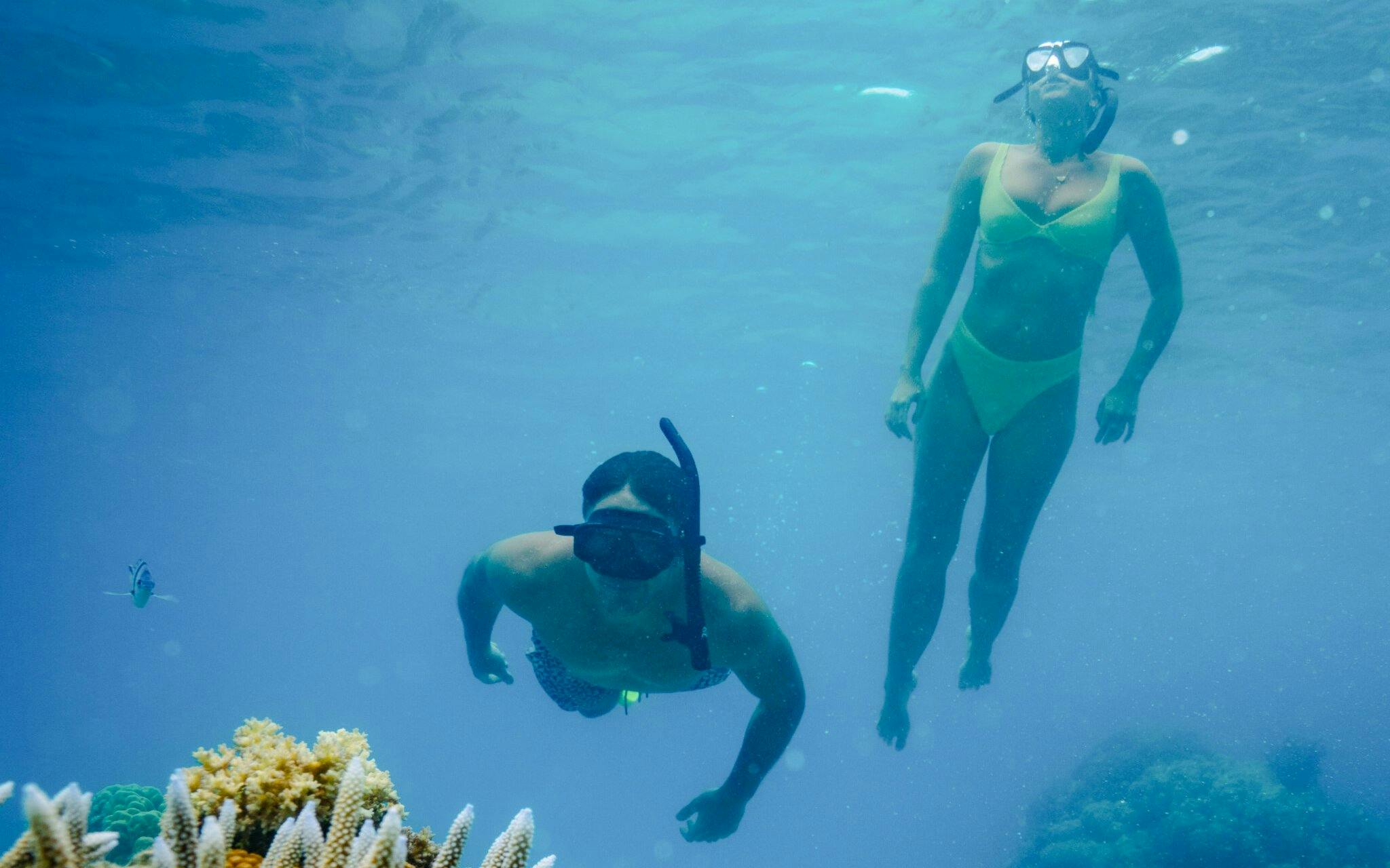 Ride and Slide: Half-Day Snorkelling Cruise with Hotel Transfers  Image 9