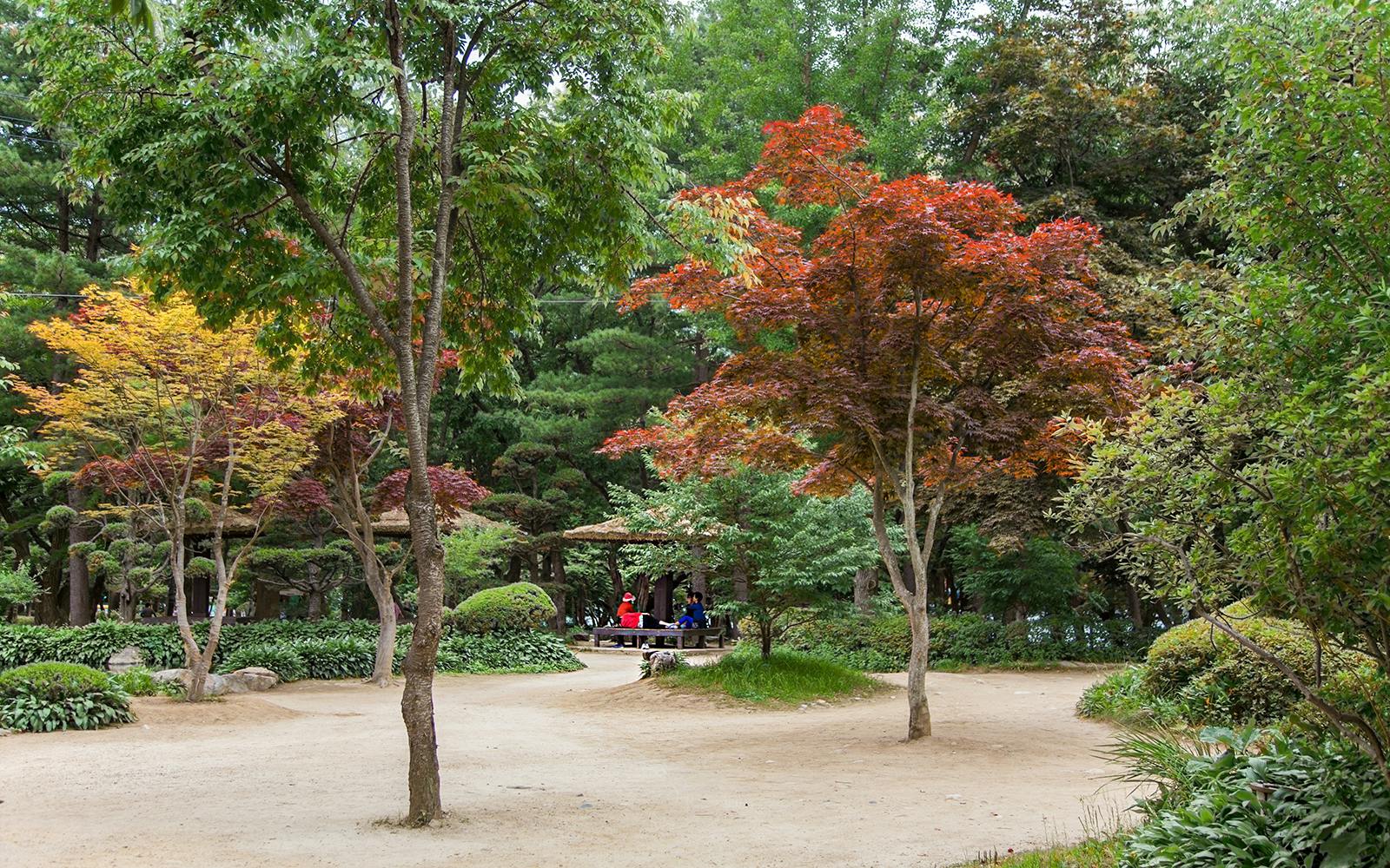 Round Trip Shuttle Bus Service to Nami Island 
 Image 4