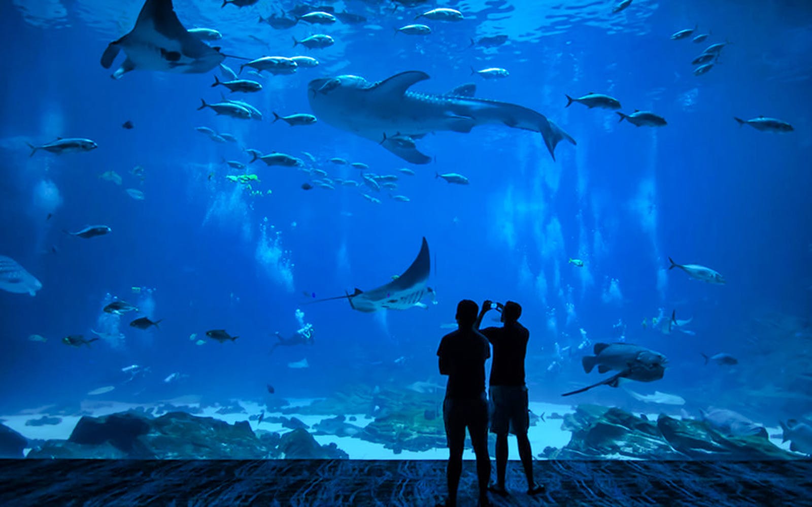 Ryukyu Mura Tickets with Optional Churaumi Aquarium Tickets Image 3