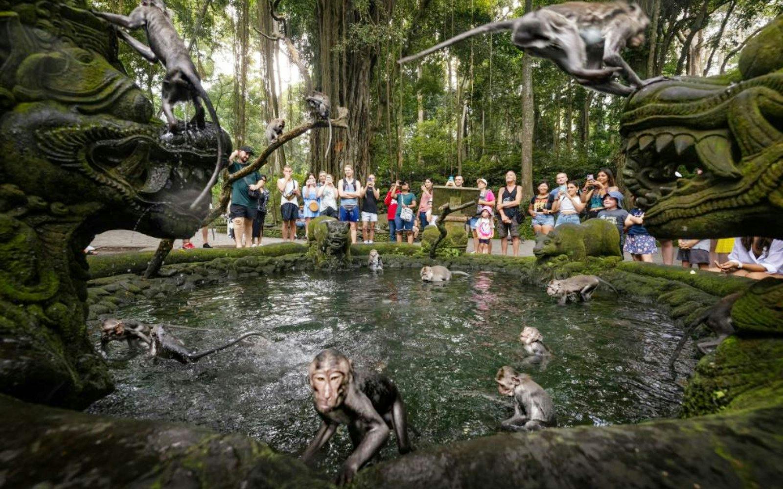 Sacred Monkey Forest Ubud Tickets Image 3