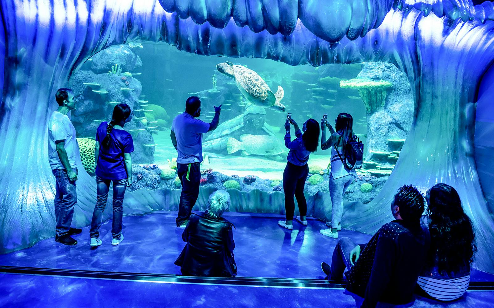 [Save upto 55%] Sydney 4 Attractions Pass  Image 2