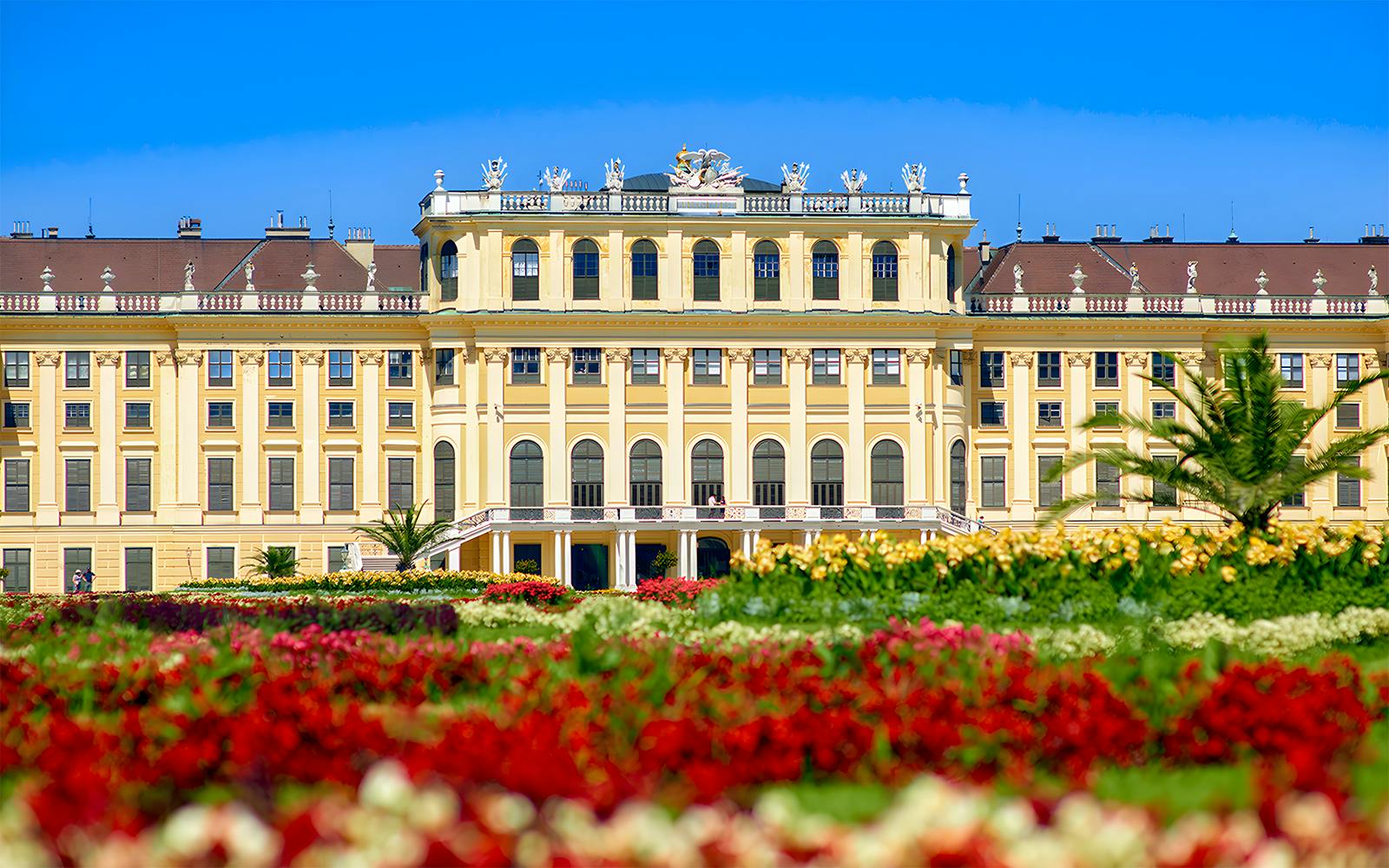 Schönbrunn Palace & Gardens Skip-the-Line Guided Tour Image 1