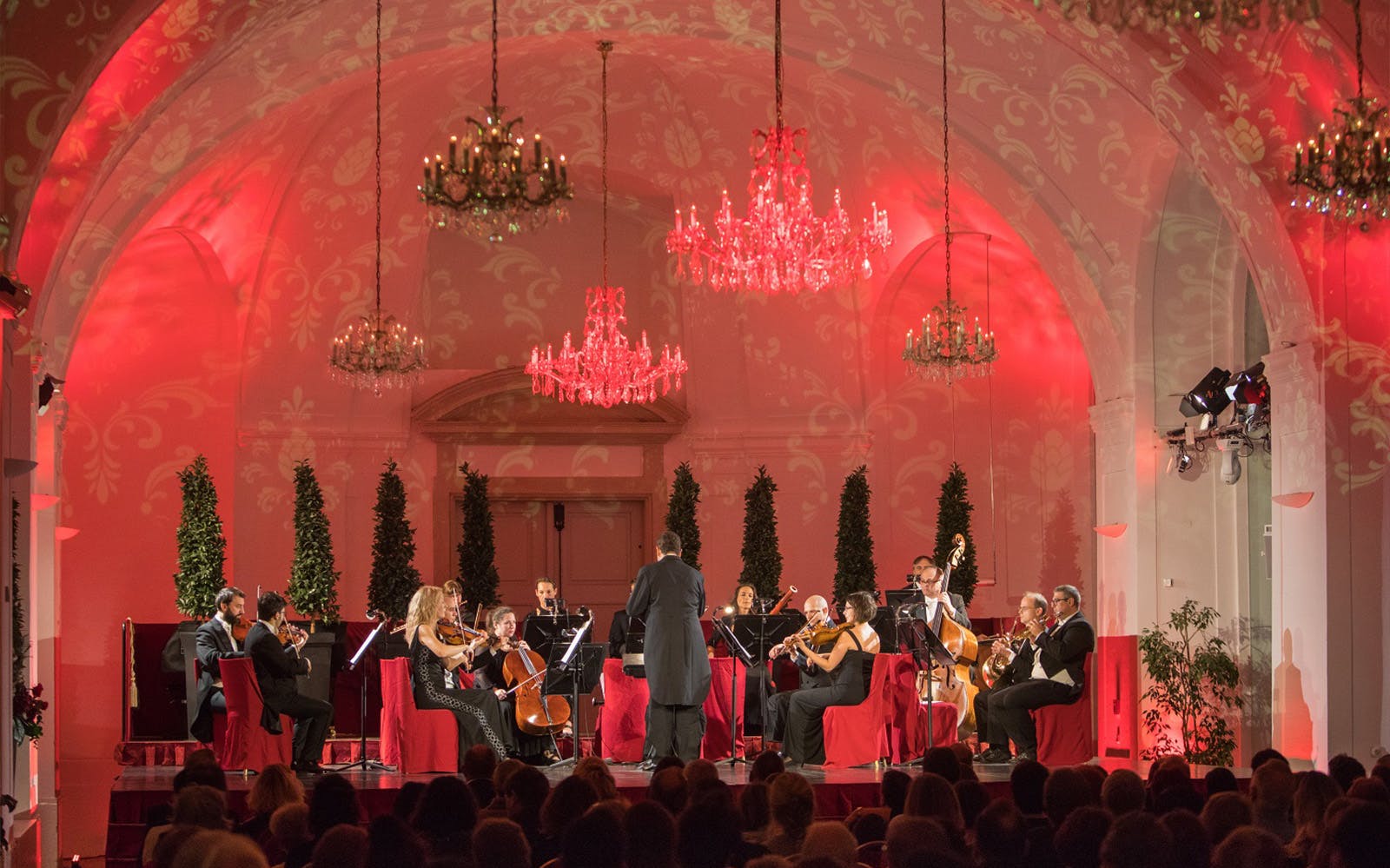Schönbrunn Palace: Mozart & Strauss Concert & After-Hours Tour Image 2