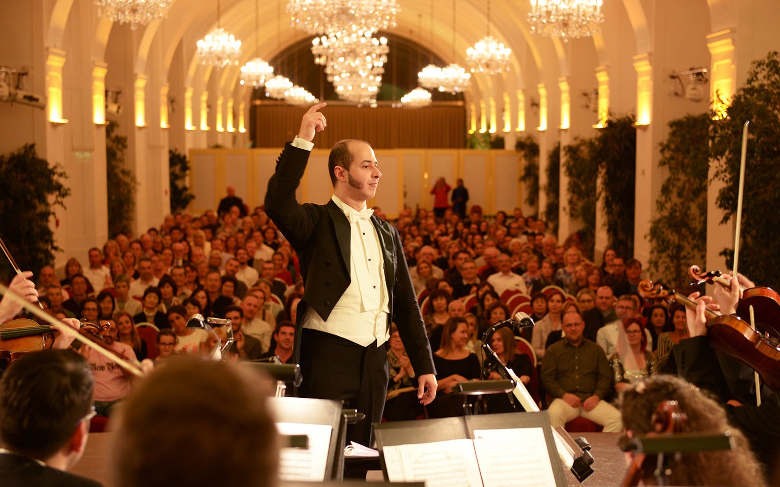 Schönbrunn Palace: Mozart & Strauss Concert with Tour & 3-Course Dinner Image 1
