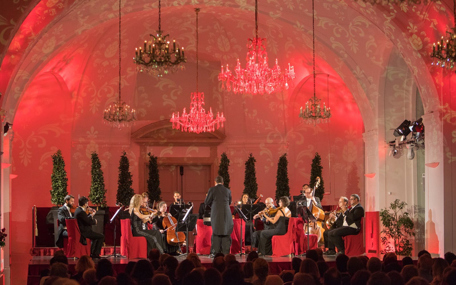 Schönbrunn Palace: Mozart & Strauss Concert with Tour & 3-Course Dinner Image 11