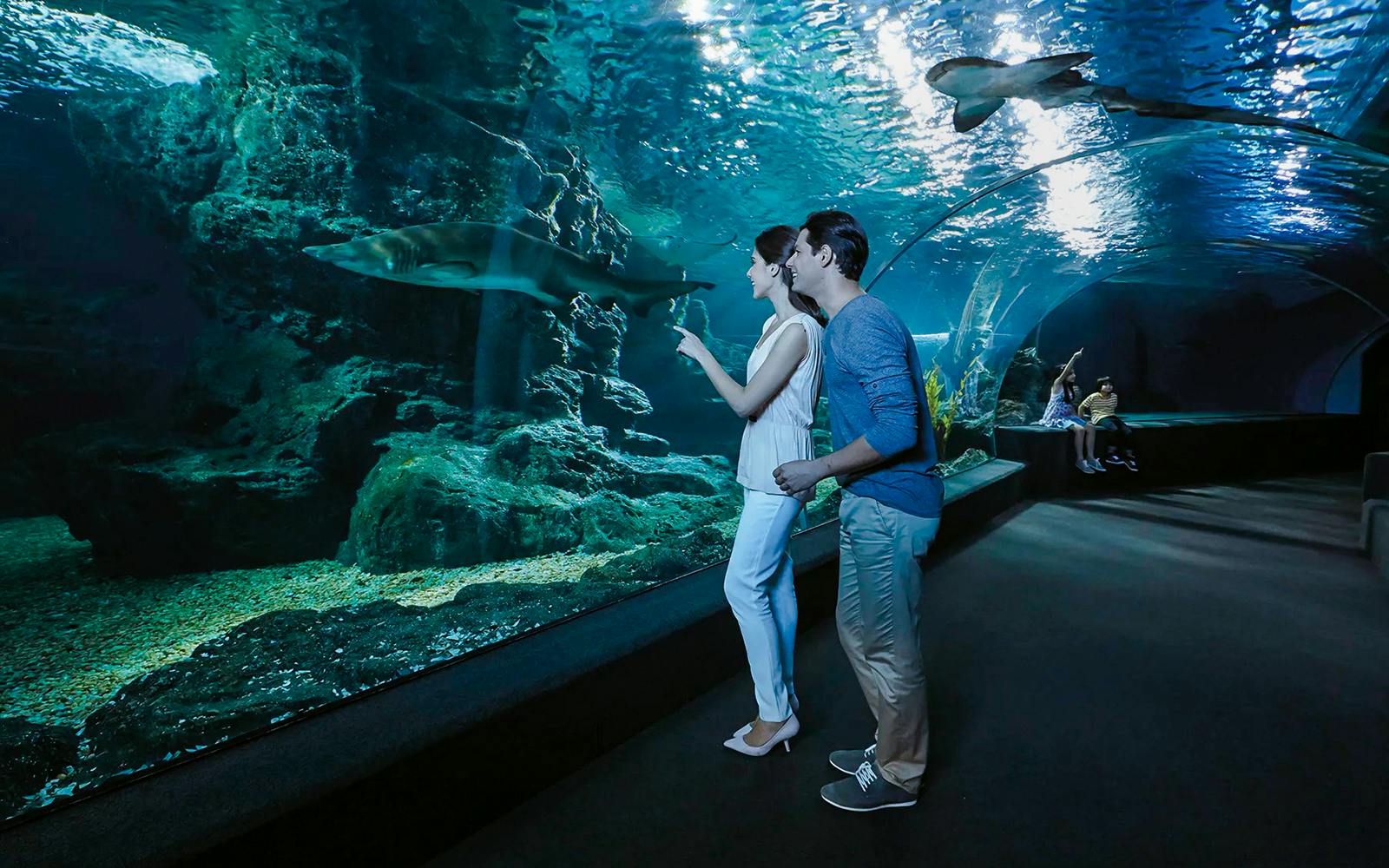 SEA LIFE Bangkok Tickets Image 1