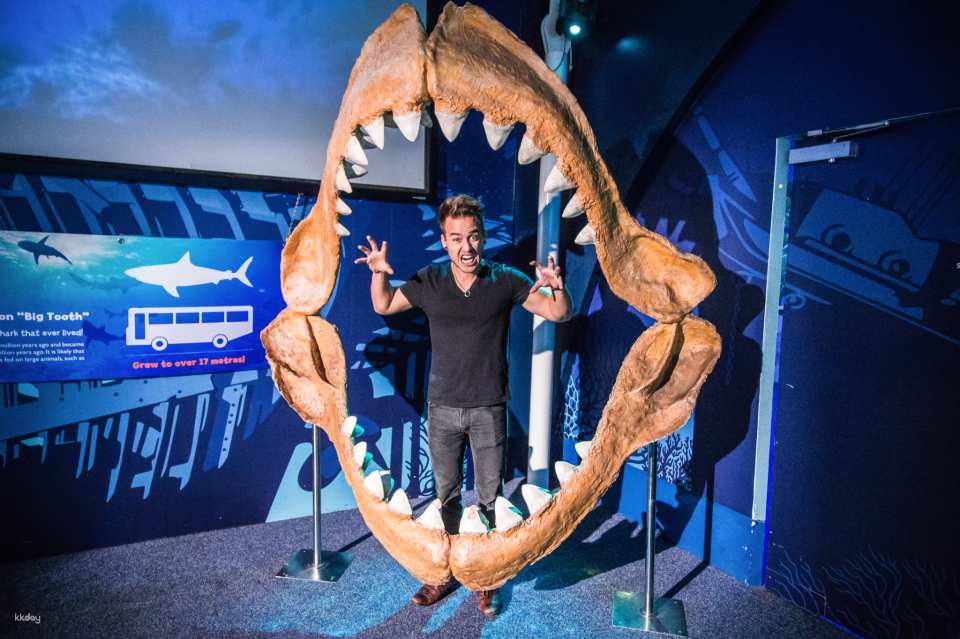 SEA LIFE Sydney Aquarium Admission Ticket + Digi Photo Pass | Australia