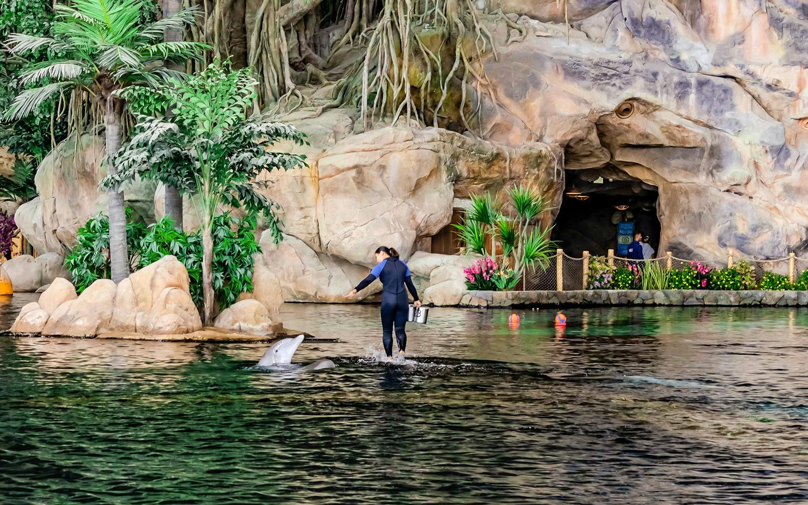 SeaWorld Abu Dhabi Quick Pass Image 1