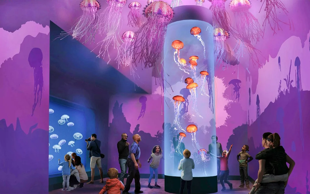 SeaWorld San Diego: Entry Tickets with All-Day Dining Add-On Image 1
