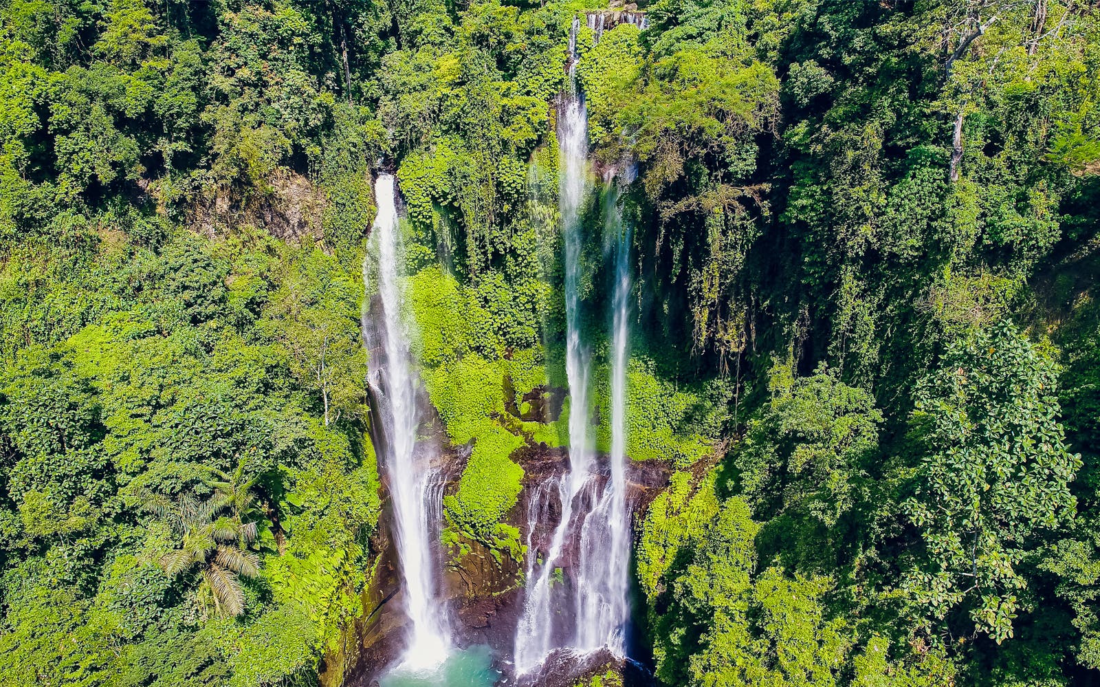 Sekumpul Waterfall & Temple Small-Group Tour: Ulun Danu Bratan, Taman Ayun Temple Image 4