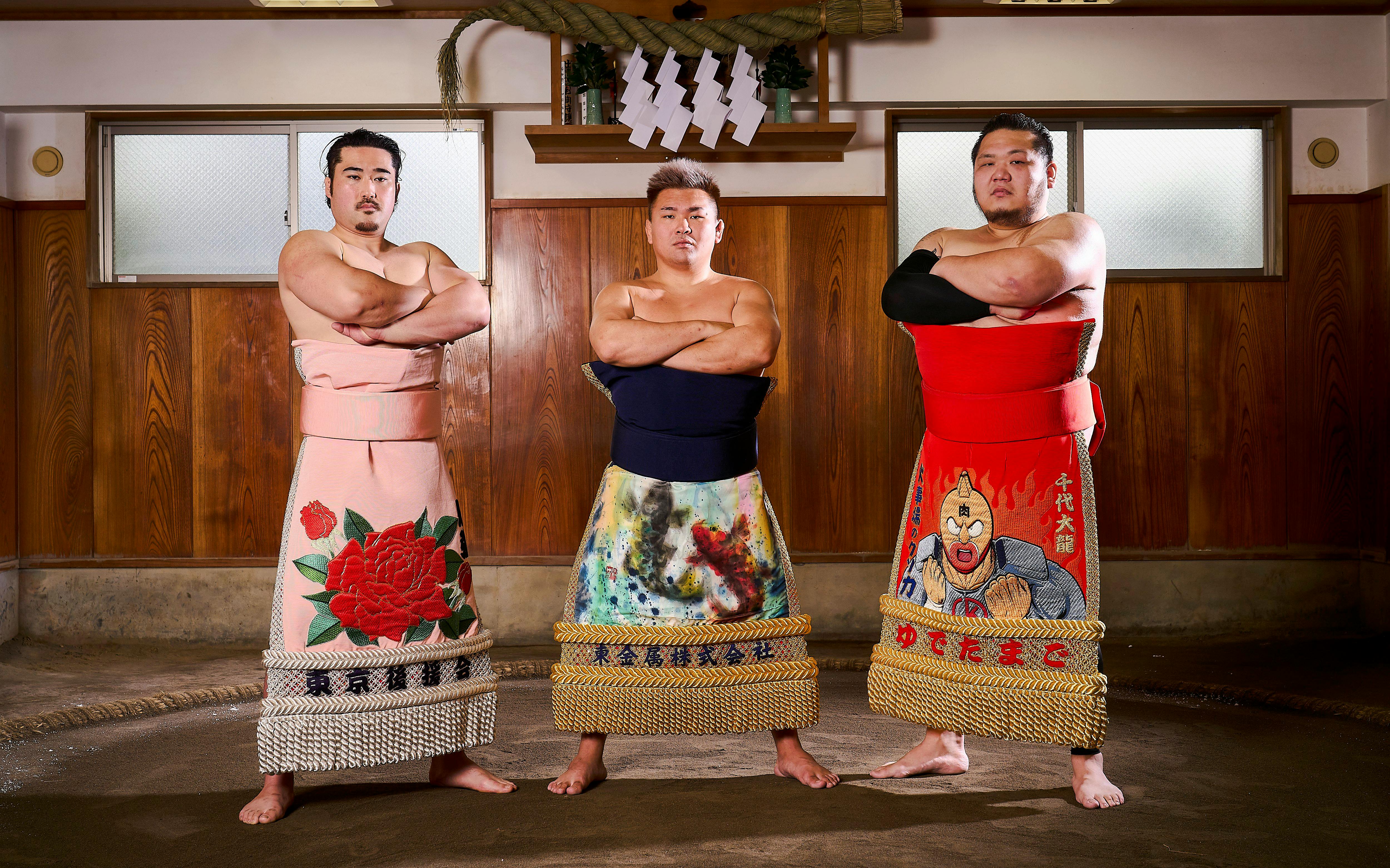Sumo Show on a Special Dohyo with Chanko-Nabe Dinner · Koto City Image 2