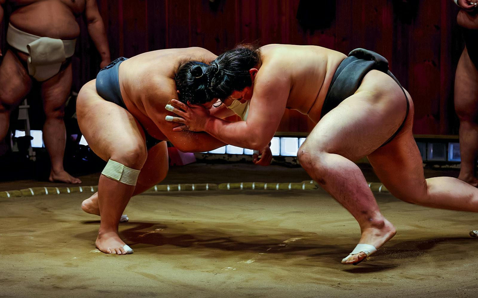 Sumo Show with a Retired Wrestler & Tonkatsu Lunch · Sumida Image 1
