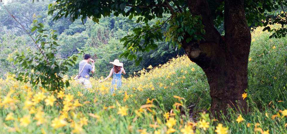 Taichung|Muxinquan Leisure Farm x Hidden Internet Beauty Spot Half Day Tour|Agricultural Tour Supermarket
