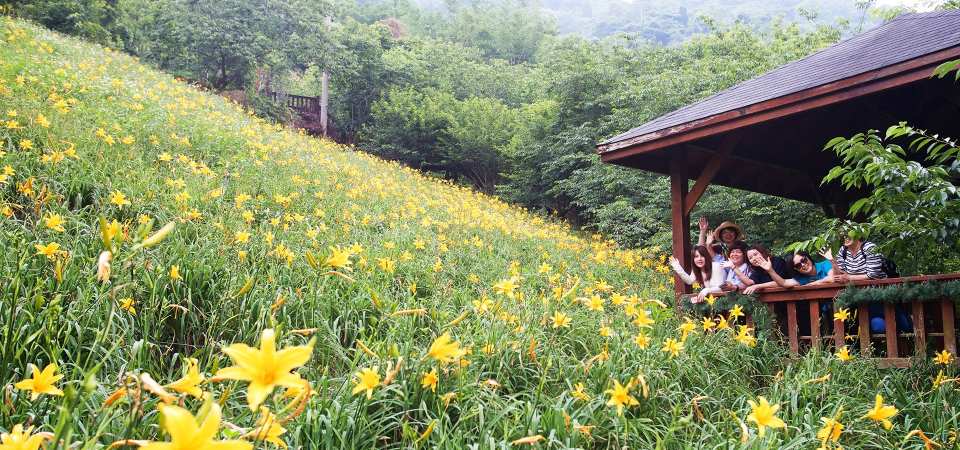 Taichung｜Muxinquan Leisure Farm x Hidden Internet Beauty Spot Half Day Tour｜Agricultural Tour Supermarket