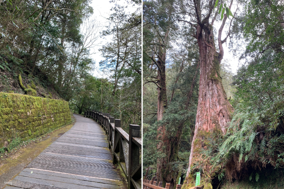 Taoyuan Lala Mountain National Forest Recreation Area Tickets