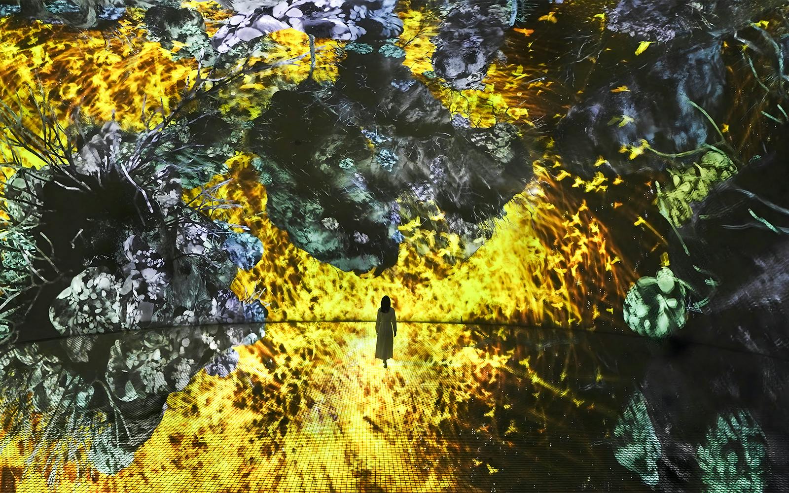teamLab Phenomena Abu Dhabi Tickets Image 5
