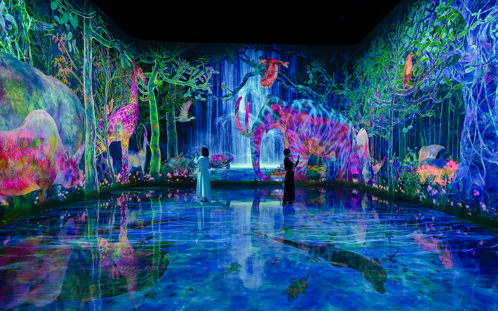 teamLab Planets TOKYO Tickets Image 5